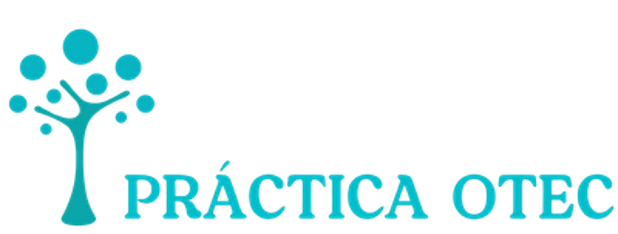 PRÁCTICA OTEC